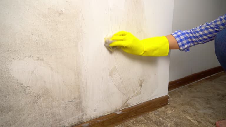 Best Biohazard Mold Removal  in Crownpoint, NM