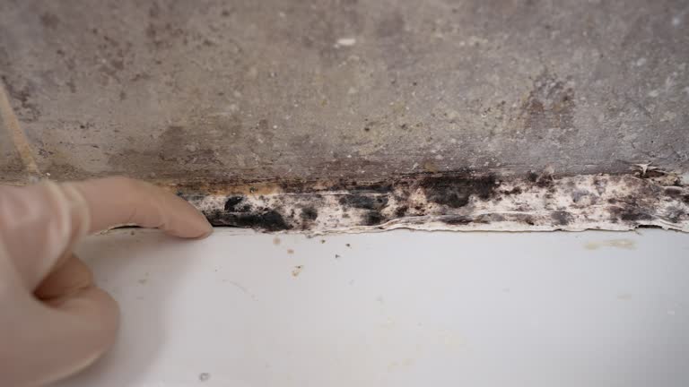 Forensic Mold Investigation in Crownpoint, NM